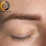 Magic shading brows